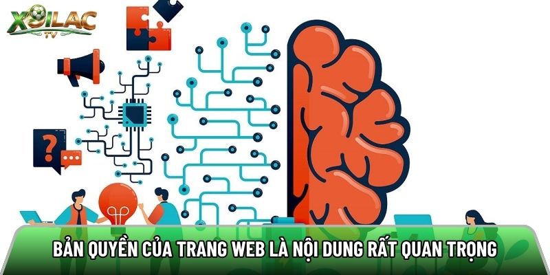 Bản quyền của trang web là nội dung rất quan trọng