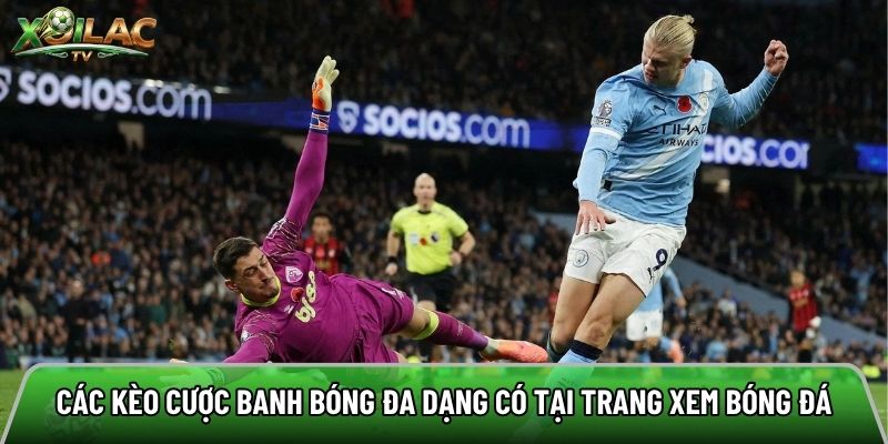 Các kèo cược banh bóng đa dạng có tại trang xem bóng đá