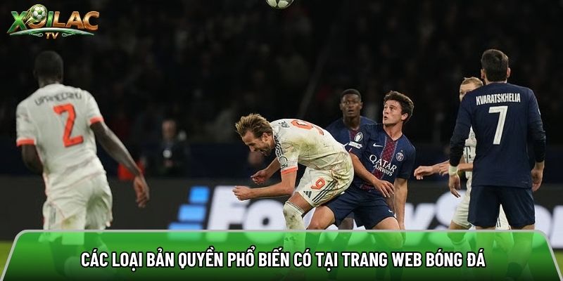 Các loại bản quyền phổ biến có tại trang web bóng đá