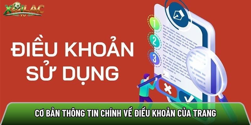 Tìm hiểu thông tin chính về điều khoản của trang