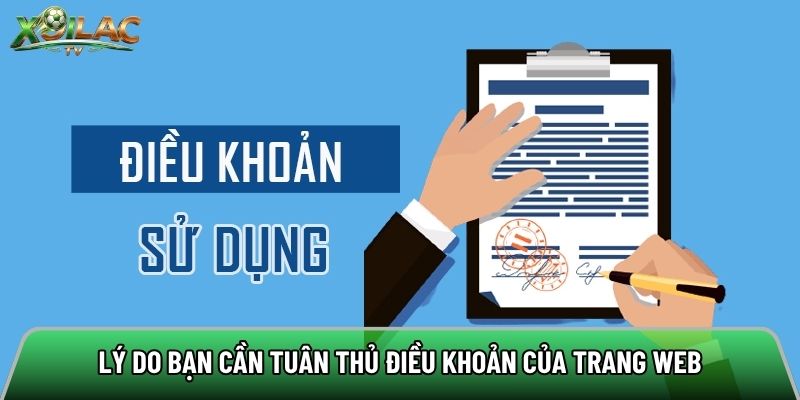 Lý do bạn cần tuân thủ điều khoản của trang web