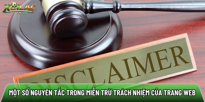 Một số nguyên tắc trong miễn trừ trách nhiệm của trang web