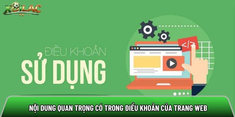 Nội dung quan trọng có trong điều khoản của trang web