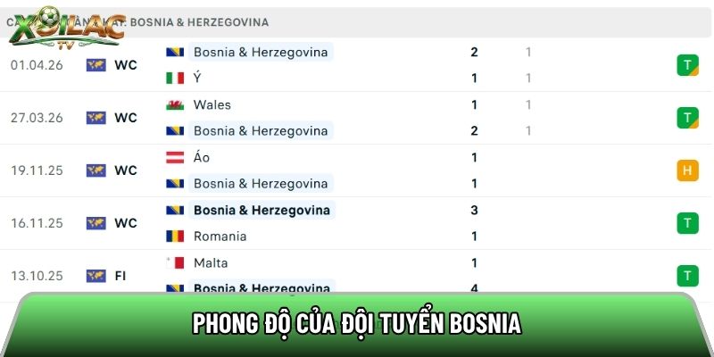 Phong độ của đội tuyển Bosnia