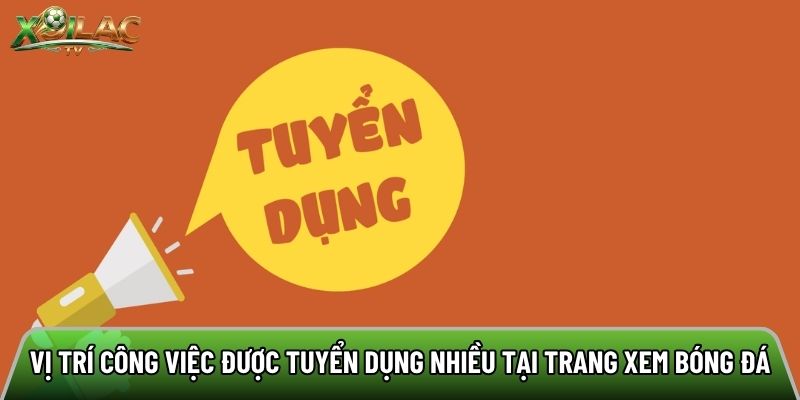 Vị trí công việc được tuyển dụng nhiều tại trang xem bóng đá